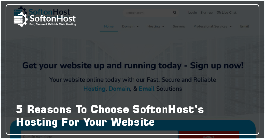 5 Reasons To Choose SoftonHost’s Hosting For Your Website